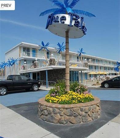 Blue Palms Resort Wildwood Ngoại thất bức ảnh