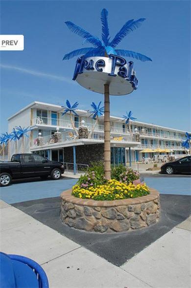 Blue Palms Resort Wildwood Ngoại thất bức ảnh